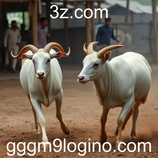 Security and Trust gggm9 login - International Licenses and Certifications